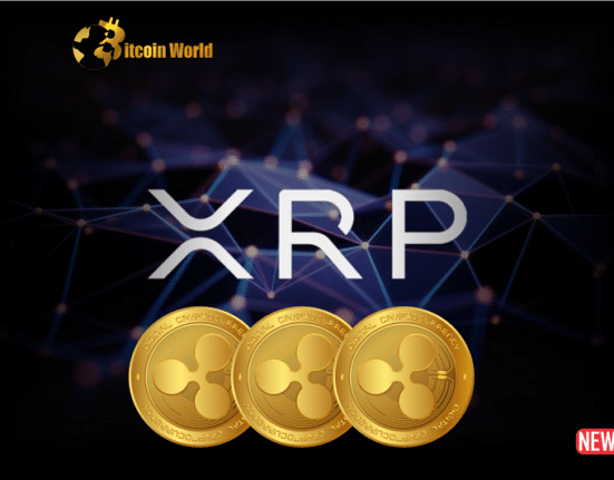 xrp future