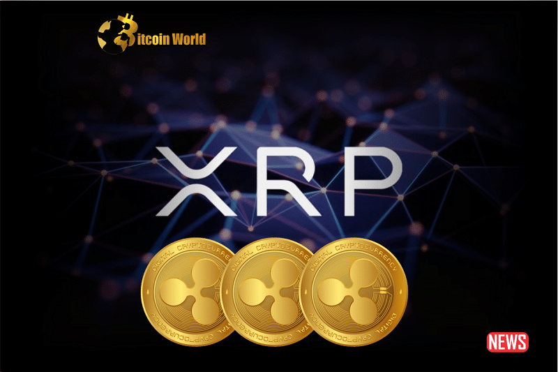xrp future