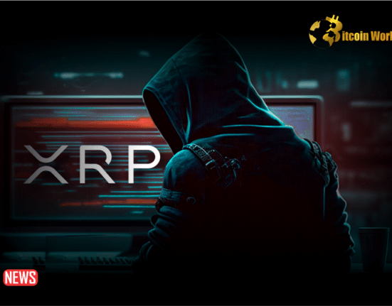Ripple CTO Clarifies Some Misunderstanding In Hacken’s XRP Hack Analysis