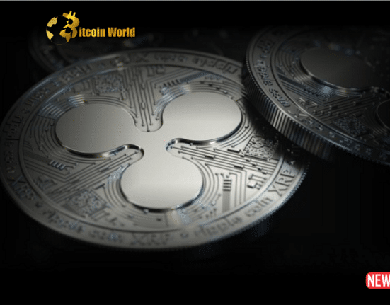 xrp investm