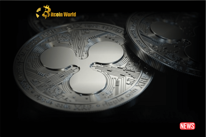 xrp investm