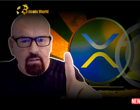 xrp lawyer