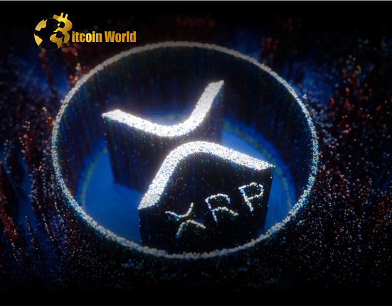 xrp ledger