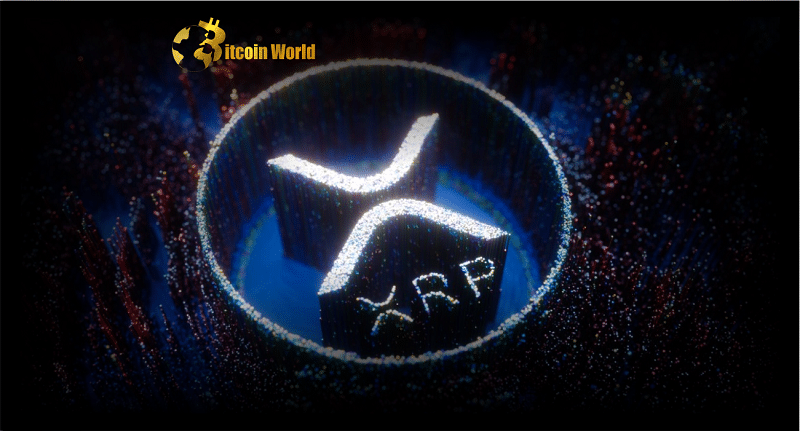 xrp ledger