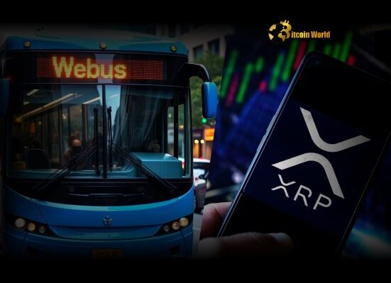 XRP Massive $300M Reserve Plan Unlocked by China’s Webus for Global Payments