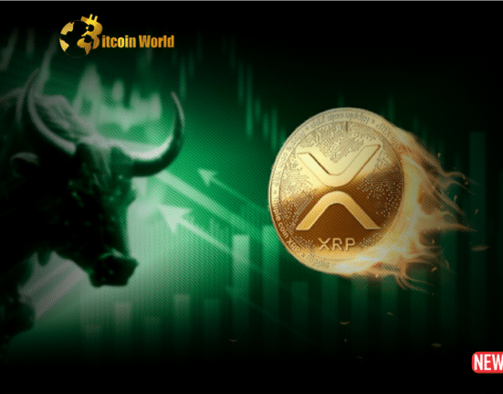 xrp momentum