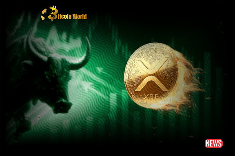 xrp momentum
