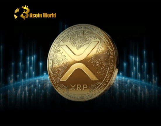 XRP Market Cap Tops $20 Billion