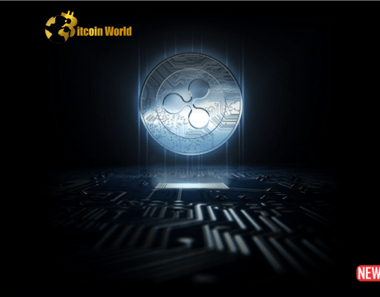 xrp next level