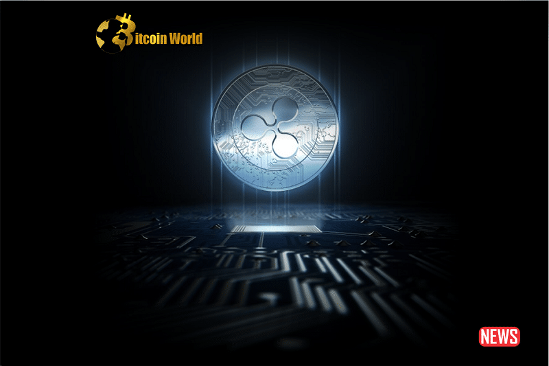 xrp next level