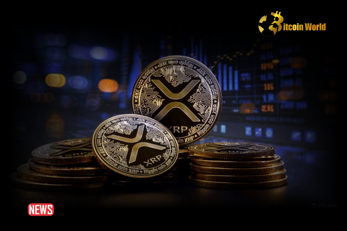XRP Saw 0 New Investors Despite 35% Price Surge, Data Shows