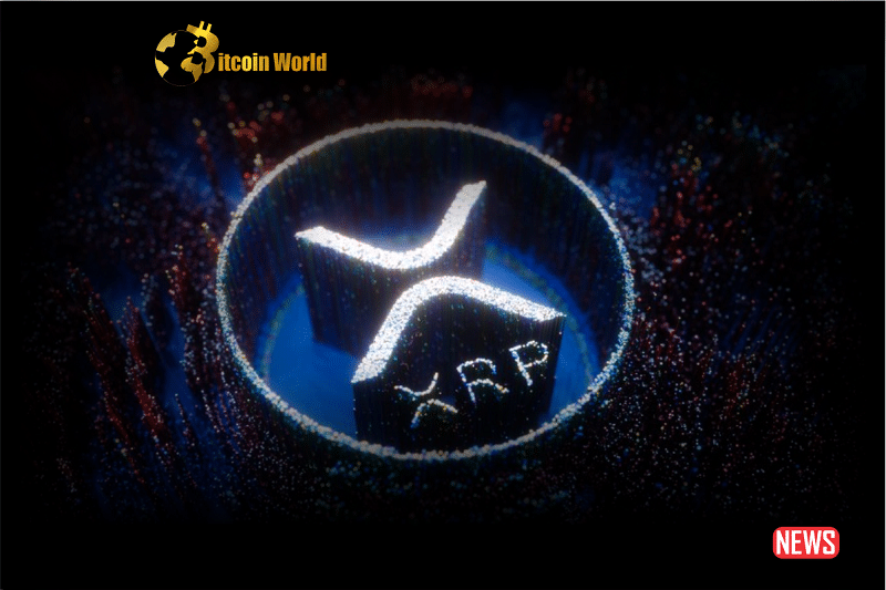 xrp path to mi