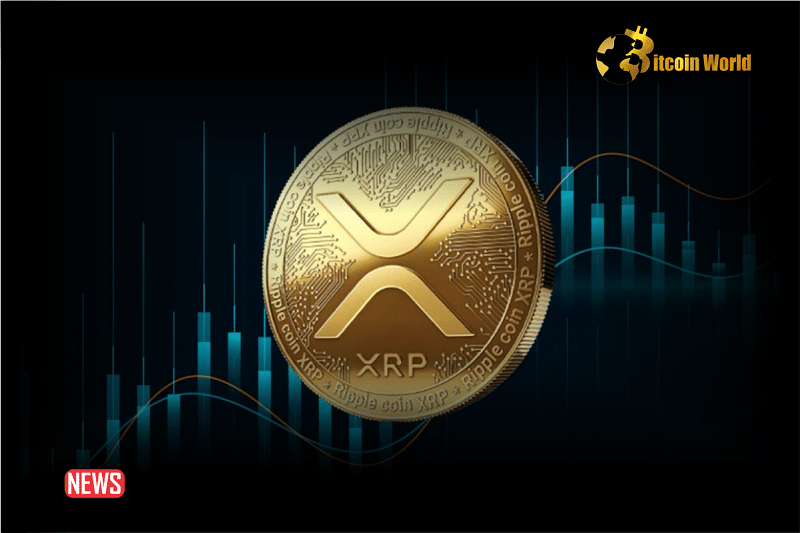 The Price Of XRP Increased More Than 3% Within 24 Hours