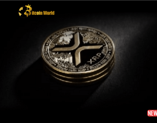 xrp reclaims
