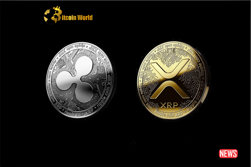 xrp resilence