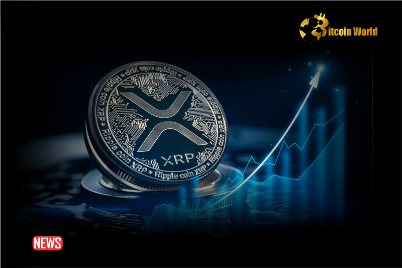 xrp rise