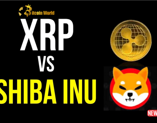 xrp shiba