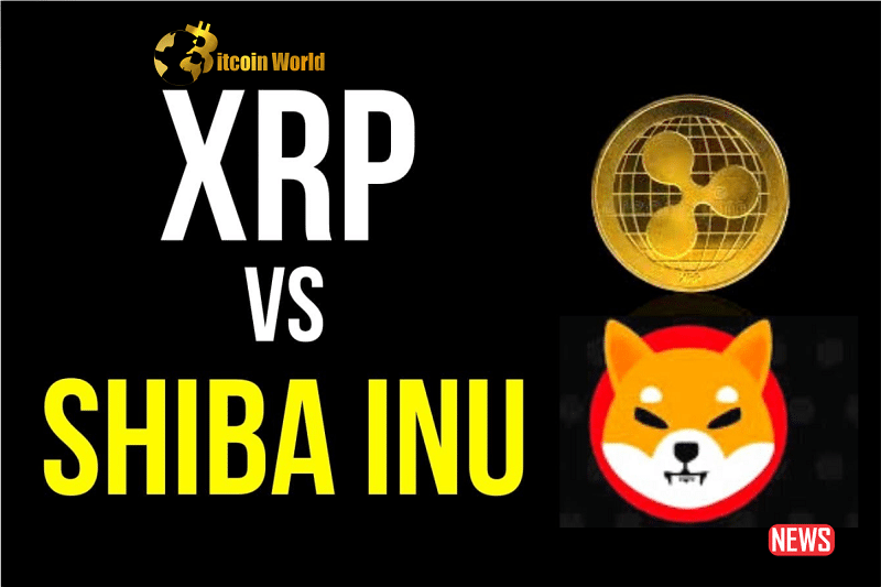 xrp shiba