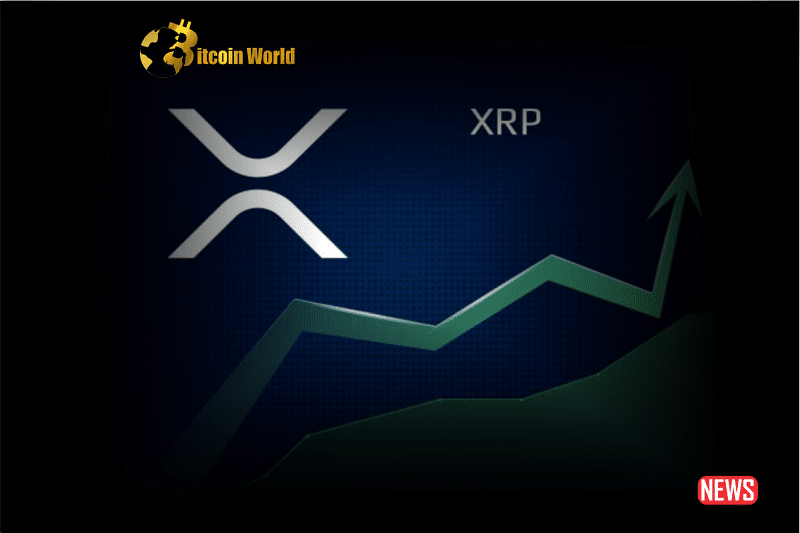 xrp surge 1
