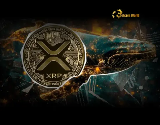 XRP Transfer: Massive Mystery as $567M Moves from Kraken