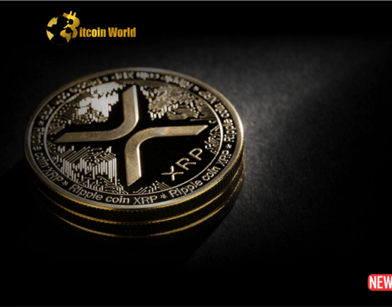 xrp updat