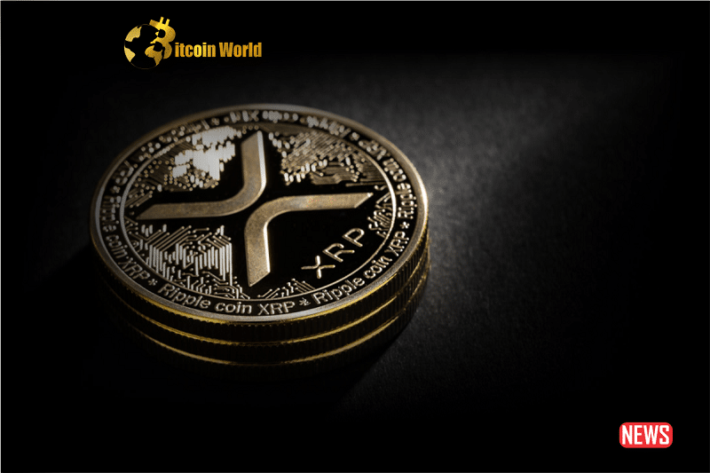 xrp updat