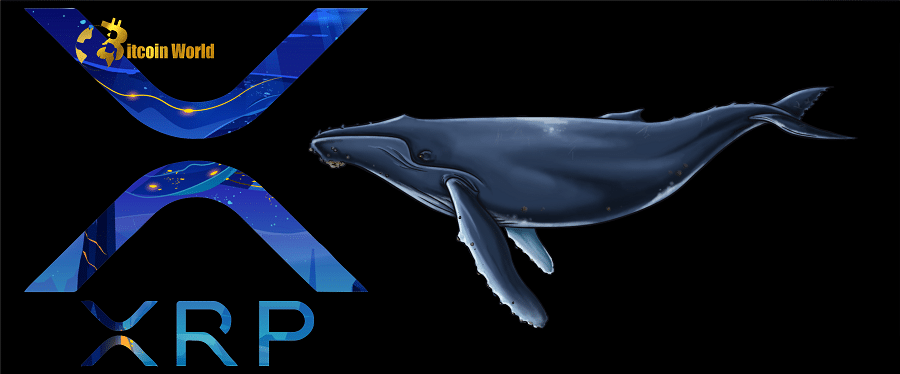 Ripple Whales Transfer One Billion XRP, Is a Price Dump Incoming?