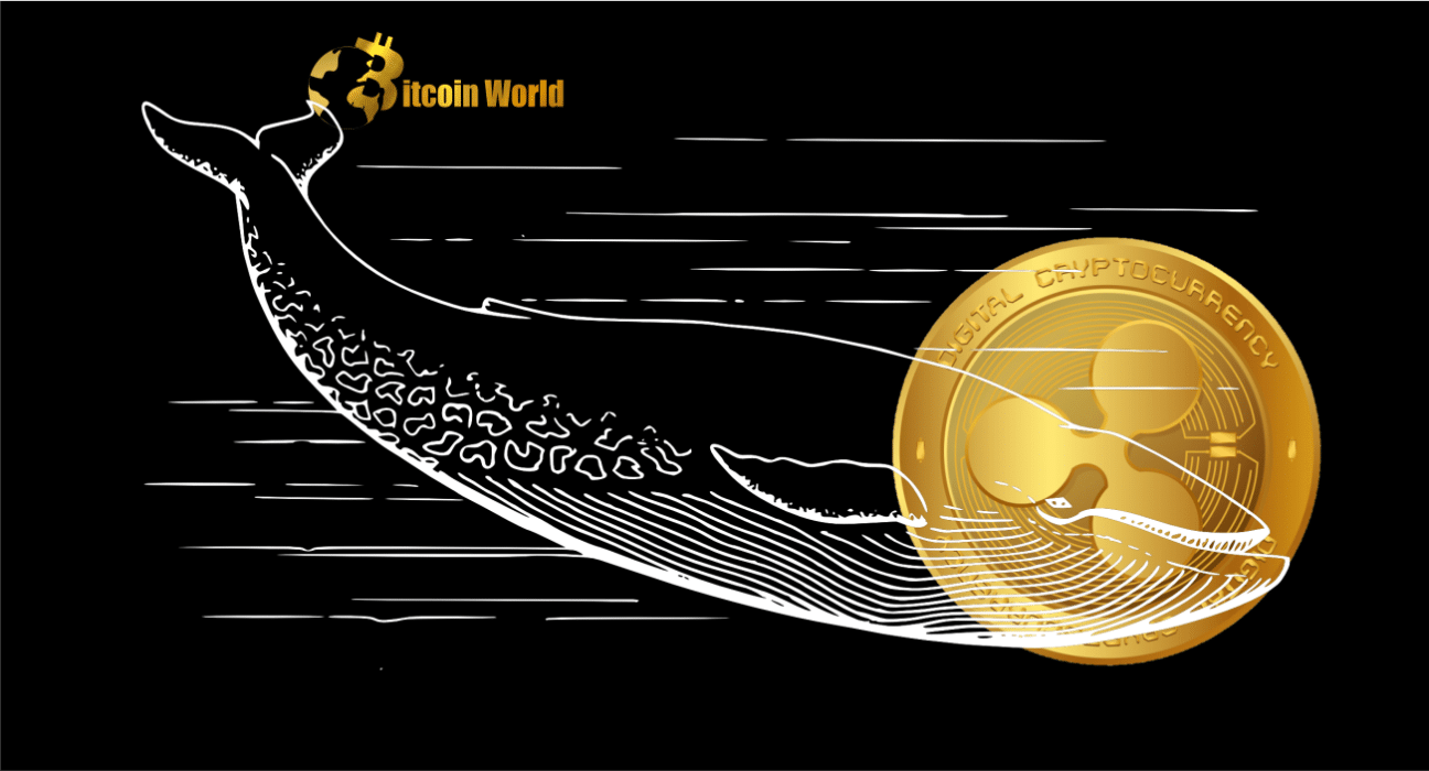 XRP Whales Numbers Grow as Large Investors Stockpile 420 Million Tokens, Data Shows