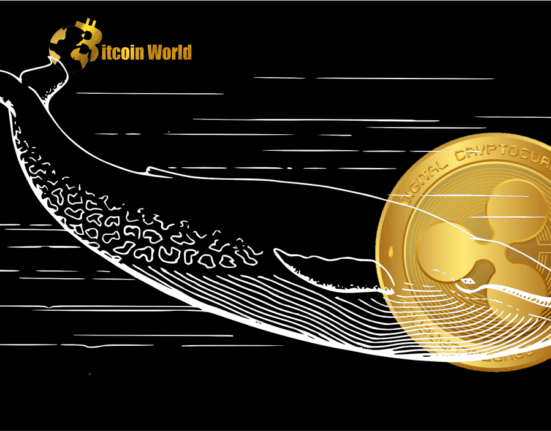 XRP Whales Numbers Grow as Large Investors Stockpile 420 Million Tokens, Data Shows