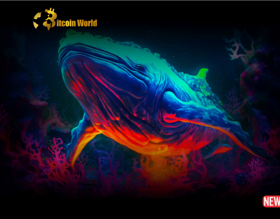 xrp whale 5