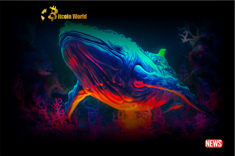xrp whale 5