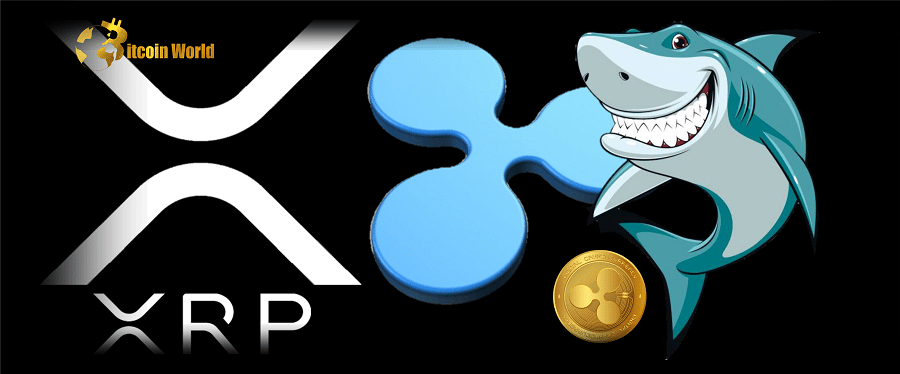 Could XRP Whale Movements Shift Prices Above This Key Level?