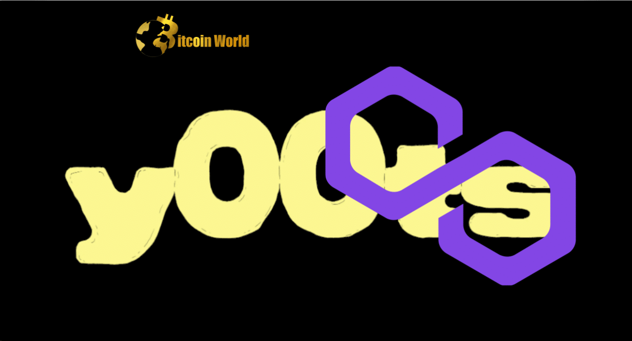 y00ts is on Polygon Now, but What of Solana Going forward?