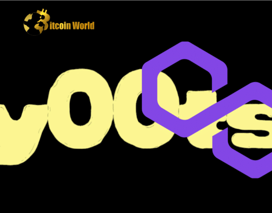 y00ts is on Polygon Now, but What of Solana Going forward?