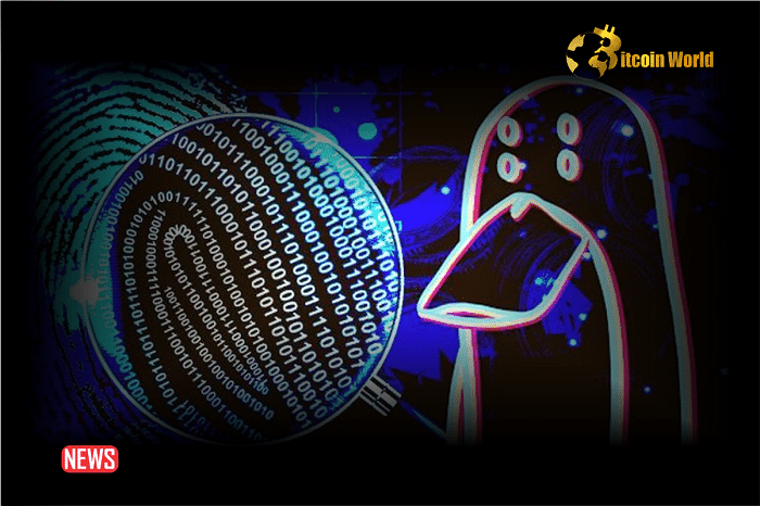 Who Is ZachXBT? The Crypto's Pseudonymous Scam Hunter