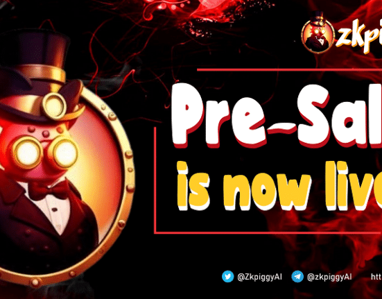 zkPiggy Pre sale Live